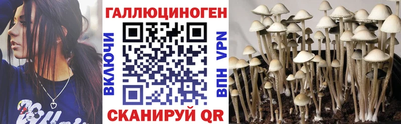 Псилоцибиновые грибы мухоморы  Болотное 