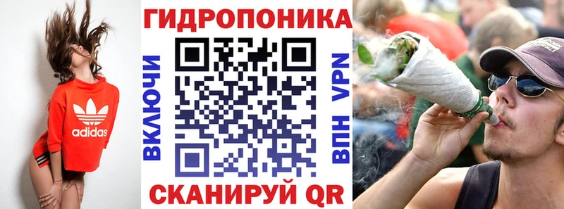 закладка  Болотное  Конопля индика 